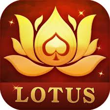 teen patti ruond download